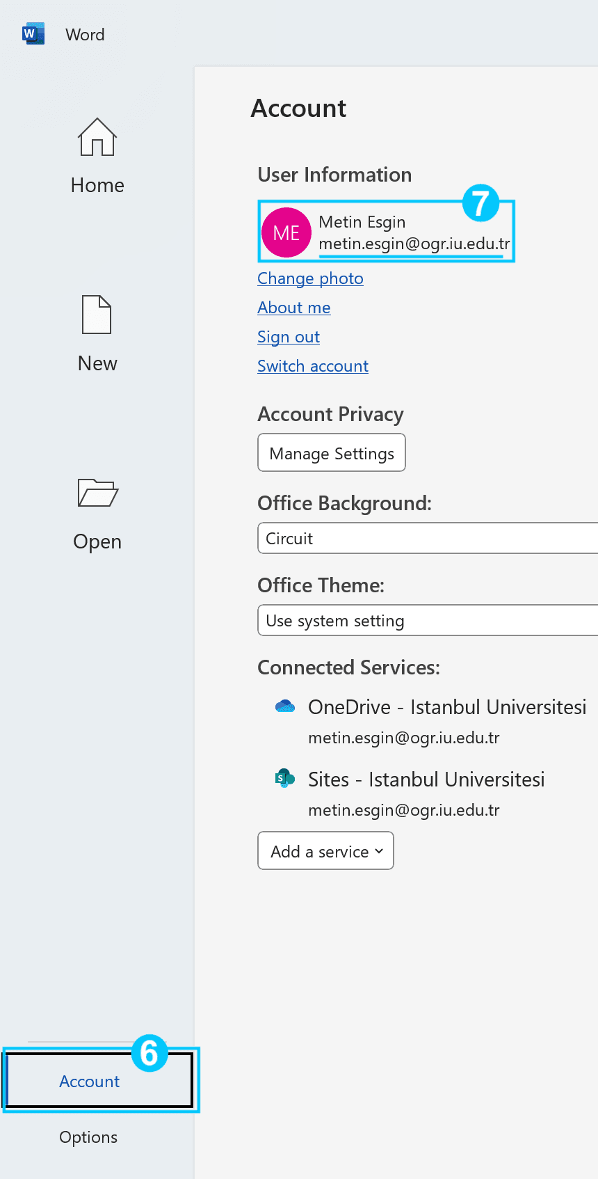 Screenshot 19 - MS Word Plugin Installation – 3